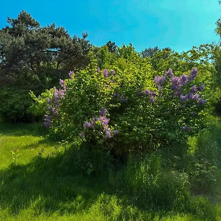 Med Anneks Naer Hyllingebjerg Prázdninový dům Melby